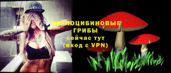 прущий лед Алзамай