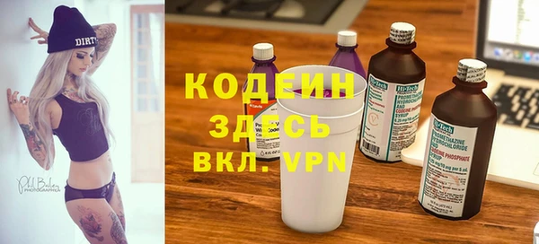 прущий лед Алзамай